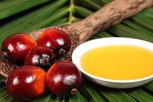 El aceite de palma consumido en exceso es muy malo para la salud