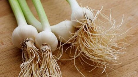 Propiedades de los ajetes