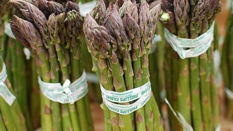 Los alimentos alcalinizantes