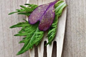 alimentos-cardiosaludables