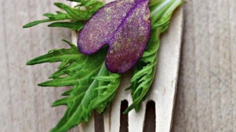 alimentos-cardiosaludables