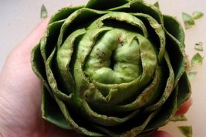 Alimentos para el higado