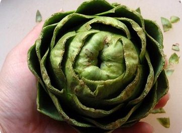 Alimentos para el higado