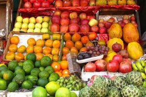 alimentos-que-no-engordan