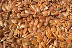 Alimentos con alto contenido en fibras solubles