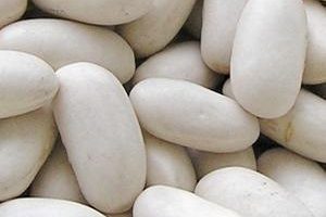 alubias-beneficios-propiedades