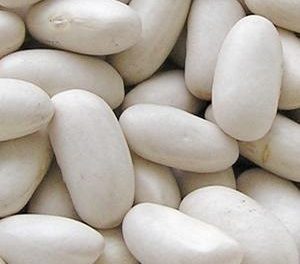 alubias-beneficios-propiedades