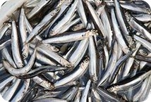 Beneficios del boquerón