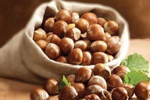 avellanas-beneficios-propiedades