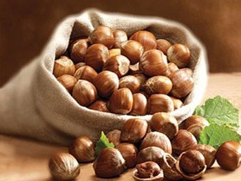 avellanas-beneficios-propiedades