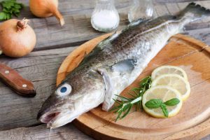 Bacalao