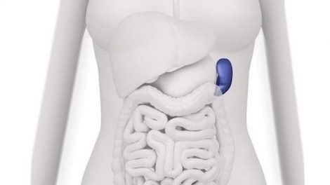 ¿Se puede vivir si bazo?