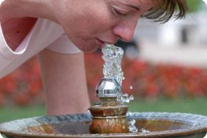 Cuánta agua beber cada día