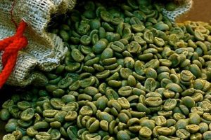 Información sobre los beneficios del cafe verde