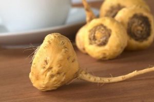 Beneficios de la maca