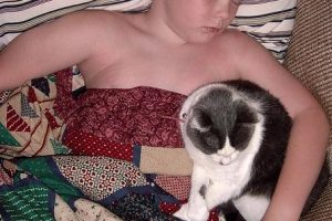 Cualidades de las mascotas para el sistema inmune del bebé y del niño