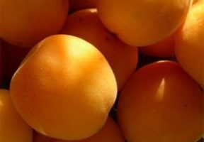 Beneficios y propiedades del albaricoque