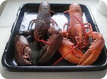 Beneficios del bogavante