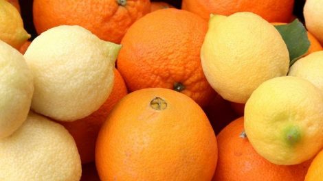 Descubre cómo hacer champú natural