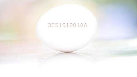 Significado del código de la cáscara del huevo