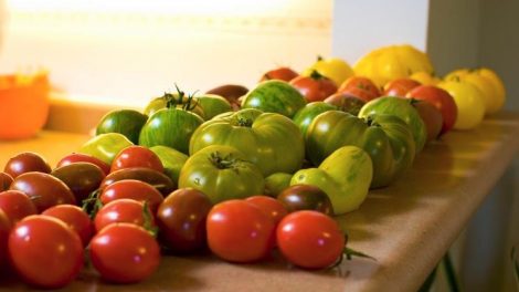 La importancia del color de los vegetales y frutas