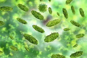Consejos para regenerar la flora intestinal