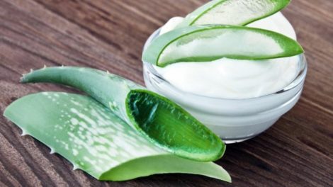 Receta de crema de áloe vera casera