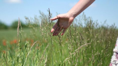 Cremas naturales con beneficios para cuidar las manos