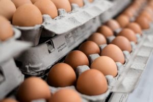 Crisis de huevos contaminados en Holanda