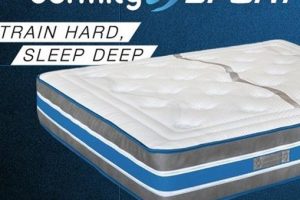 dormity-sport
