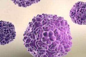 enterovirus