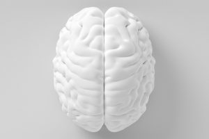 Cómo prevenir el envejecimiento cerebral