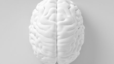 Cómo prevenir el envejecimiento cerebral