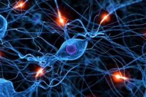 epilepsia