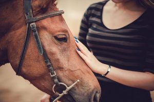 equinoterapia