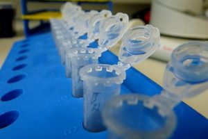 Estimulación del sistema inmunológico contra el cáncer
