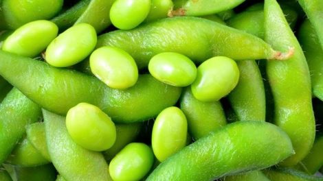 Funciones de los fitoestrógenos