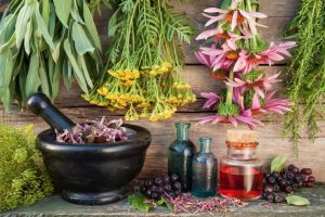 ¿Sabes qué es la fitoterapia?