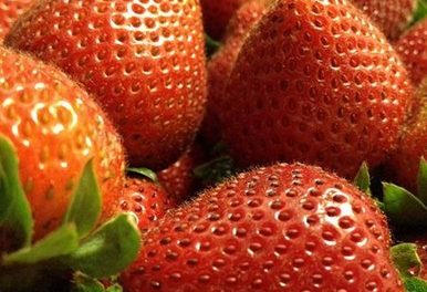 Propiedades de los frutos rojos