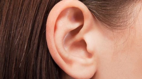 Las principales funciones del cerumen