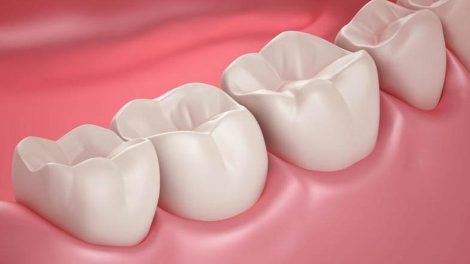 ¿Cuáles son las funciones de los cordales?