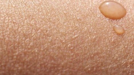 Funciones de la piel