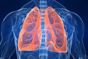 Funciones de los pulmones