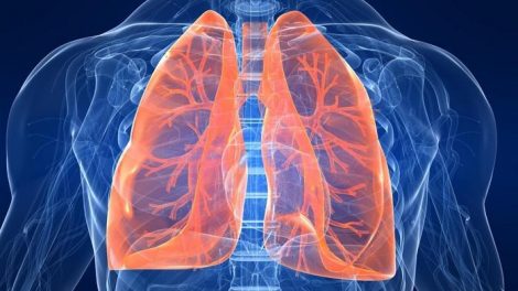 Funciones de los pulmones