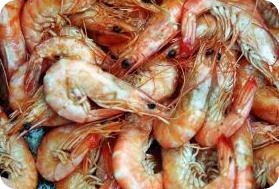 Propiedades de las gambas rosadas