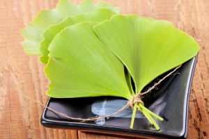 Los beneficios del ginkgo más importantes