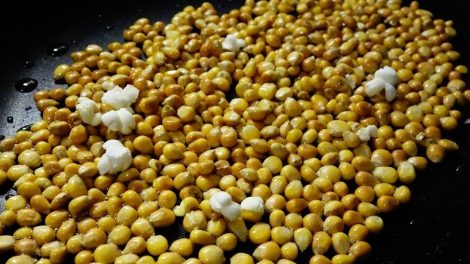 Granos de maíz para hacer palomitas