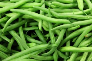 Habichuelas