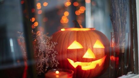 El curioso nacimiento de las calabazas de Halloween