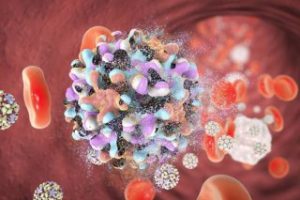 Virus de la hepatitis B